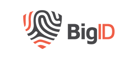 Logo BigID